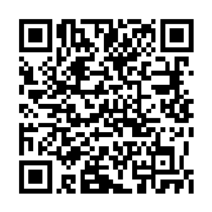 眼前这位楚公子轻易的做到了他们做不到的事情二维码生成