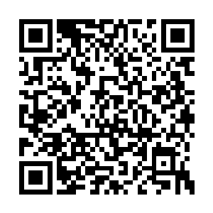 眼前这位王新民可是日本留学回来的医学高材生二维码生成