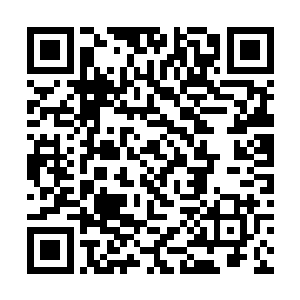 眼前这兽神殿乃是上古年间的兽神天翼神虎遗留下的二维码生成