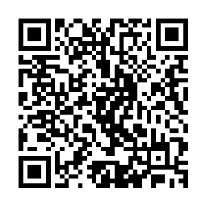 眼前这十六个高级合伙人到底有多少人已经站到了马文那一边二维码生成