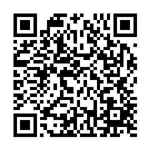 眼前这小子似乎就是传言之中的那个拥有治愈之术的吴虎臣二维码生成