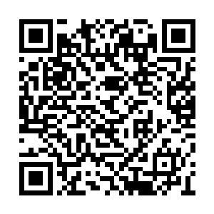 眼前这强大无比的男人摆明了要将他们一网打尽二维码生成