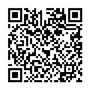 眼前这支叫做荣耀至死的乐队却为他打开了一个崭新的世界二维码生成