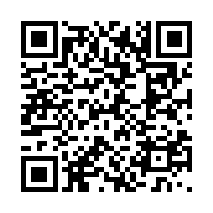 眼前这片林木从左右一眼都望不到头二维码生成