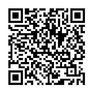 眼前这贪婪王风一笑因该很快就能顺利的突破至圣皇境界了二维码生成