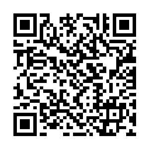 眼前这辛城主更是直接以灵气化做寒螭向自己攻来二维码生成