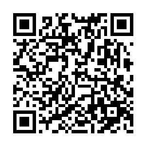 眼前这高大的城墙上悬挂着一排排漆黑的骷髅头二维码生成