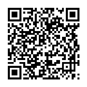 眼前那个坐在王座上的男人根本不需要向自己解释二维码生成