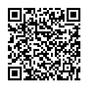 眼尖的贝海才发现船上正在驾驶游艇的不是别人二维码生成