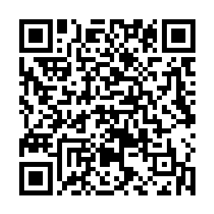 眼帘中便见到星族族长的双手向着他们两个轰击了过来二维码生成