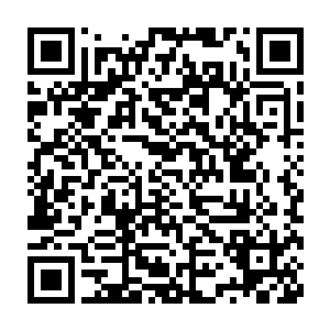 眼带笑意的苏雨果故意拖长了音停顿了一下才继续说出了后边的内容二维码生成