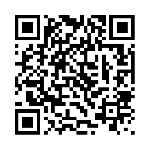 眼底除了温顺和忠诚之外再无他物二维码生成