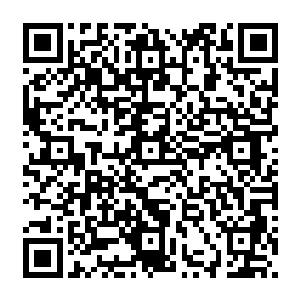 眼界有了一定提高的他们再看这个实力只比他们强一点点的杨教官就觉得没什么了不起的二维码生成