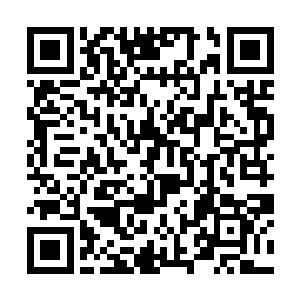 眼看一群无极境的存在把少正义鸣瞬息护得里外三层二维码生成
