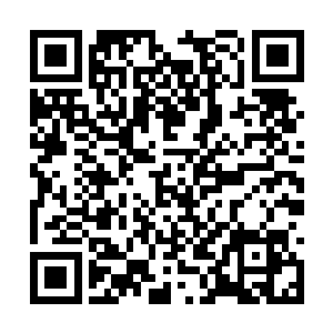 眼看他手中那柄巨大的帝刀就要刺入飞箭兽的腹部二维码生成
