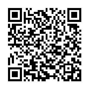 眼看伊布的剑就要砍在那棵大树上――卡雷突然哈哈大笑起来二维码生成