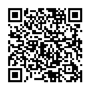 眼看宾客都一窝蜂的朝着周围的几扇大门奔跑……二维码生成