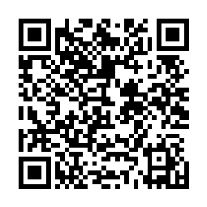 眼看着下方得破庙被一根根从地面穿出的手臂粗的树根扯裂二维码生成