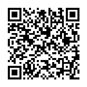 眼看着人偶兽狂暴的攻击就要劈开土印形成的防御二维码生成