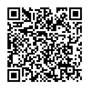 眼看着代表敌军的红点距离系统上标准着虚线的企埋伏区越来越近二维码生成