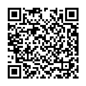 眼看着六七个普通尊主被林铭切瓜砍菜一般的干掉二维码生成