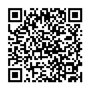 眼看着剩下的五位无极境存在已经到了少正义鸣身后二维码生成