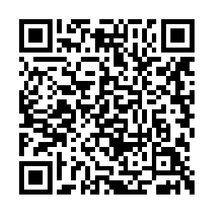 眼看着地狱犬和狂信者巫师们即将开始一轮搏斗二维码生成