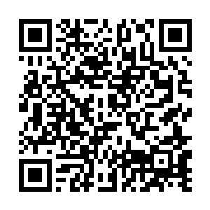 眼看着就可以一掌击杀了秦方的那个宗师级巅峰高手二维码生成
