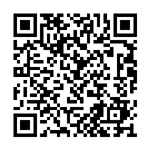 眼看着猴子与六耳猕猴已经互相追逐着奔向远方二维码生成