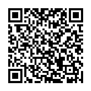 眼看着那孟凡与王泽两个男人张牙舞爪地就要扑过来二维码生成