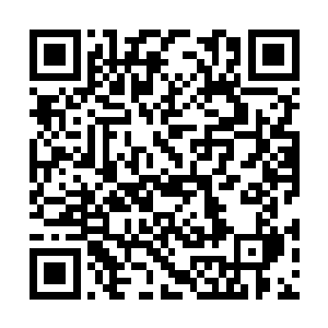 眼看着酒缸中的神酒一道道飞进自己的那只金葫芦二维码生成