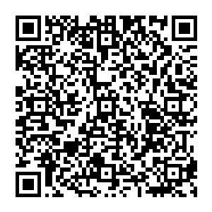 眼眶中两簇金色小火苗灼灼逼人的血姬冷操控着树心在突兀变化了的金色通道中极速闪避飞驰~二维码生成