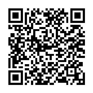 眼睁睁地望着金色的雕像上由一道裂痕变成了数百道裂痕二维码生成