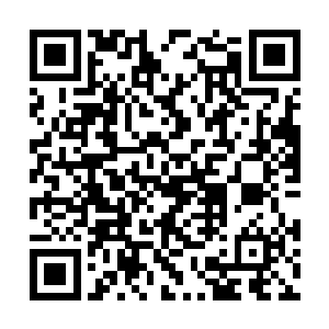 眼睁睁地看着他将自己剥得像一颗剥了皮的白笋子二维码生成