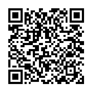 眼睁睁地看着凤瑾元一步一步从新科状元爬到当朝左丞二维码生成