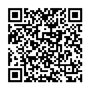 眼睁睁的看着天空之中的飞行仙兽被一头一头的吃掉二维码生成