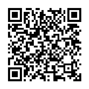 眼睁睁的看着族长大人俊美的半边脸被雪花糊上了二维码生成