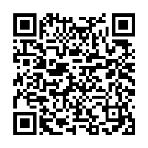 眼睁睁的见到那条黑虫居然将大半条源石矿脉吞噬二维码生成