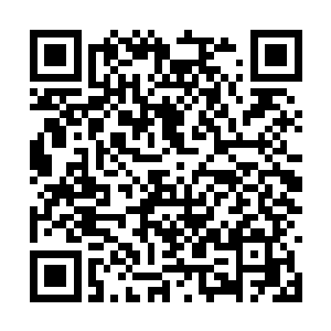 眼睁睁看着十位界主和混沌星域的一众高层被打飞二维码生成