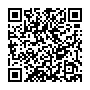 眼睛却在看到费芷柔露出难过表情的一瞬间流露出得意和畅快二维码生成