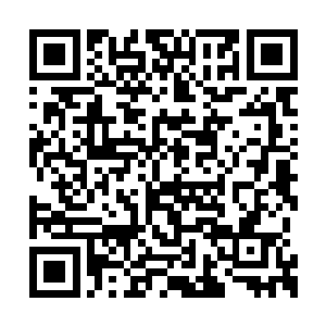 眼睛却敏锐看见了从树上枝叶间一闪而过的光芒二维码生成