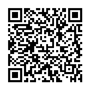 眼睛却紧紧的看着那个大殿外不远处软轿里的人儿二维码生成