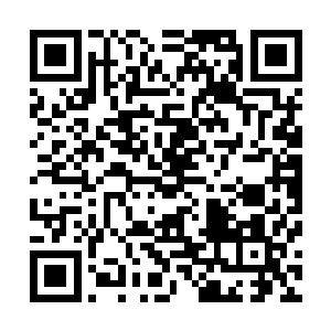 眼睛周围不同的明点给自己带来的不同的视觉能力这个发现二维码生成