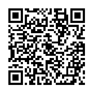 眼睛怔怔望着不远处二龙戏珠八卦丹炉前的一个小巧黄金棺二维码生成