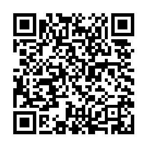 眼睛眯了起来像看见猎物的小狐狸一般隐隐发出亮光二维码生成