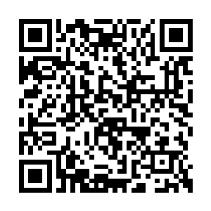 眼睛紧紧的看着那个大殿外不远处软轿里的人儿二维码生成