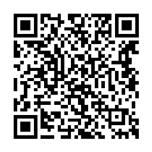 眼睛被两只向外凸出的三百六十度旋转晶眼取代二维码生成