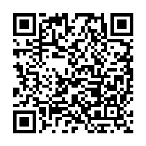 眼神再一次落在了被五花大绑跪伏在地的一众叛臣身上二维码生成