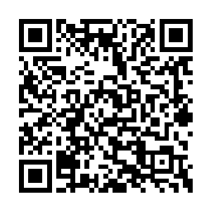 眼神却不由自主飘在了身姿妙曼的慕容仙儿身上二维码生成