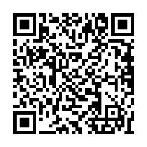 眼神复杂的让力莲心里不由得产生了不好的预感二维码生成